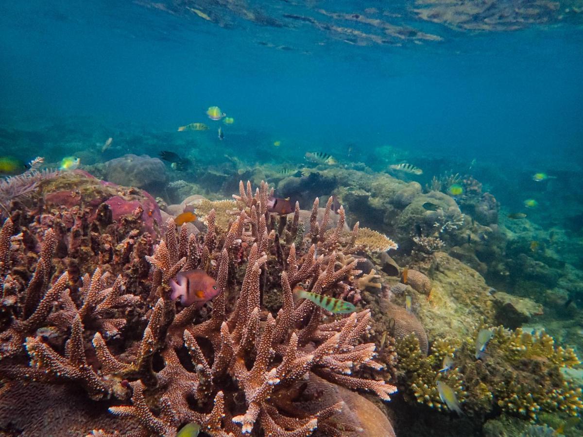 Raja Ampat Eco Lodge Tapokreng Ngoại thất bức ảnh