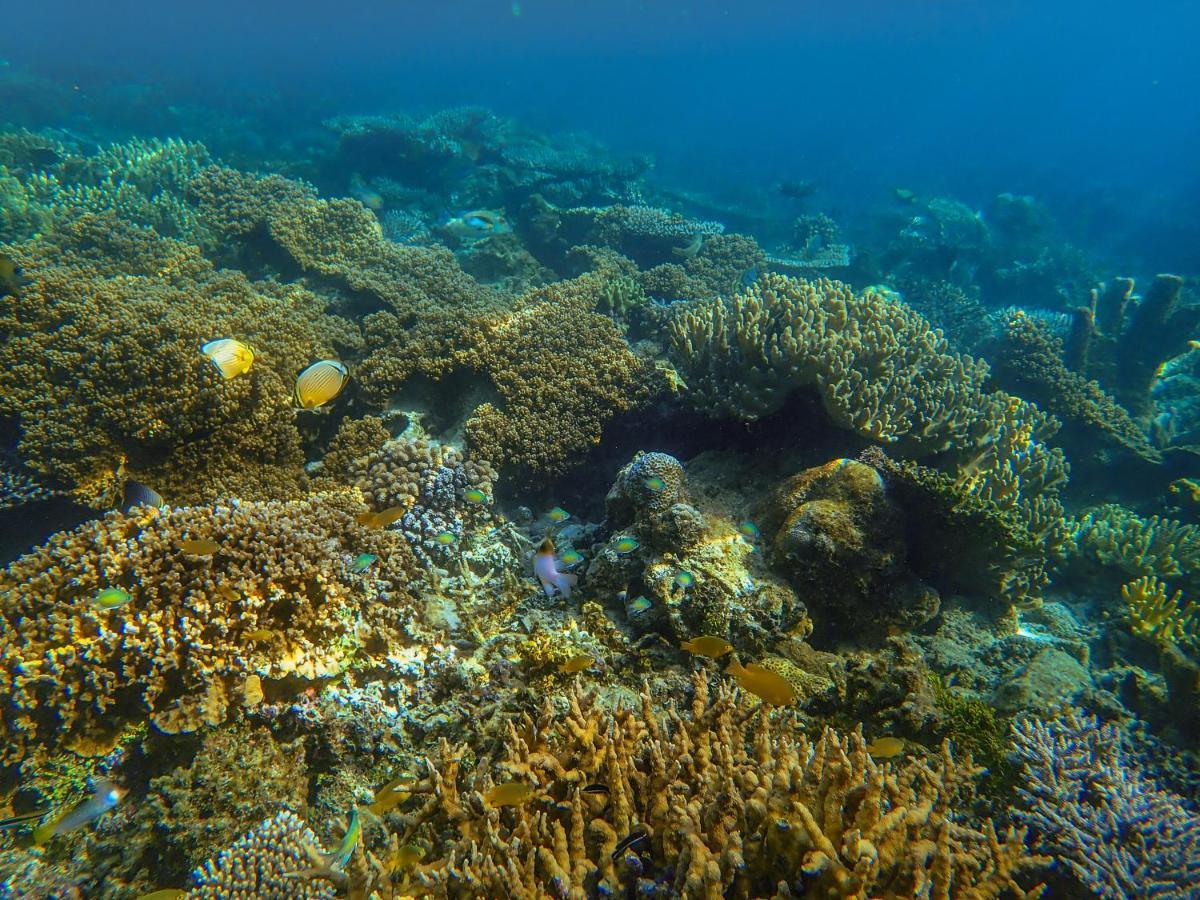 Raja Ampat Eco Lodge Tapokreng Ngoại thất bức ảnh